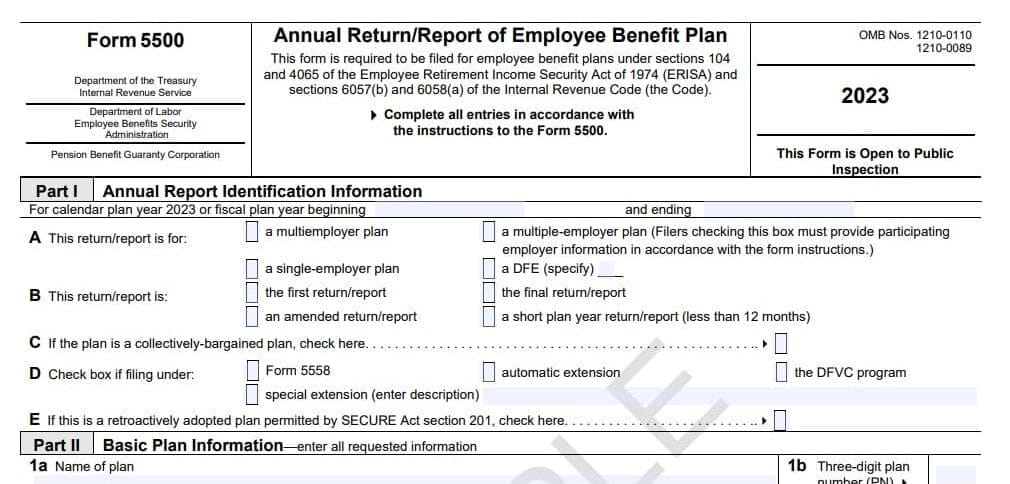 form 5500 filing